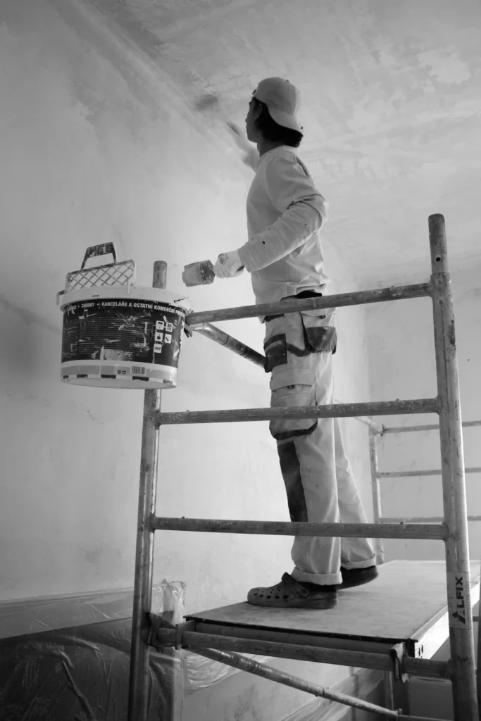 Internal House Painter Balwyn