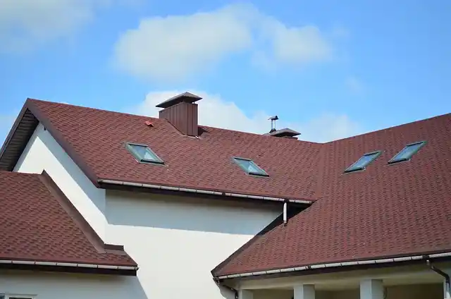 Roof Painting Services